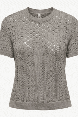 ONLSAGA SS O-NECK KNT N OOS FUNGI